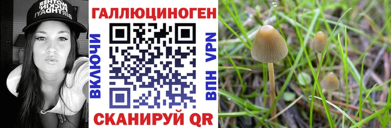 кракен ССЫЛКА  купить закладку  Макаров  Галлюциногенные грибы GOLDEN TEACHER 